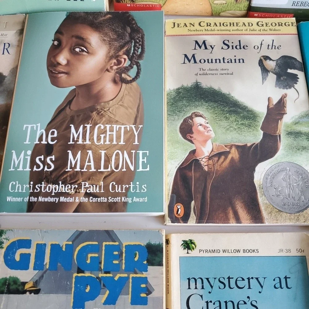 Lot of 22 Books Level 6/7 RL Misc Titles MIX Youth Teacher Library Homeschool‎